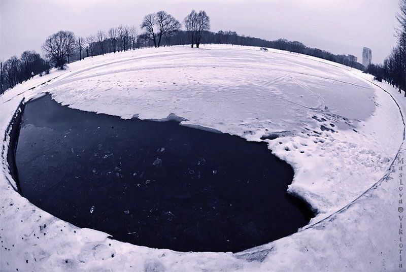 ИНЬ-ЯНЬphoto preview