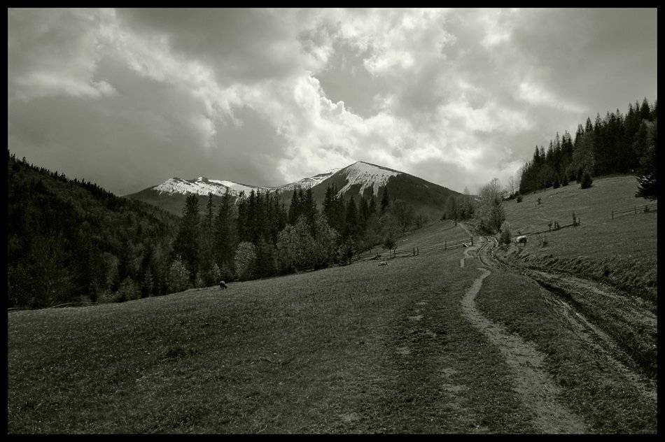 ...домой.... Автор: Piligrim карпаты, природа, пейзаж, горы, панорама, Piligrim