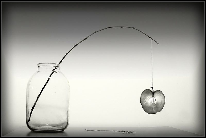 Подвешенный натюрморт #2photo preview