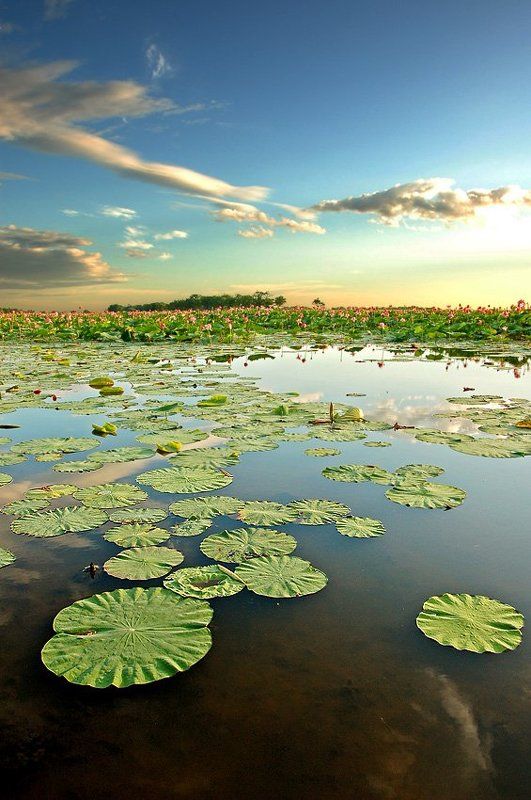 если хочешь остатьсяphoto preview