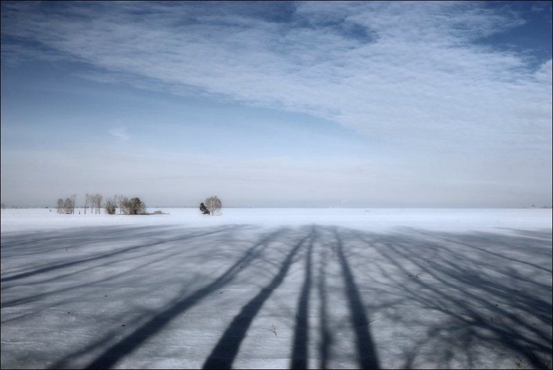 В поляхphoto preview