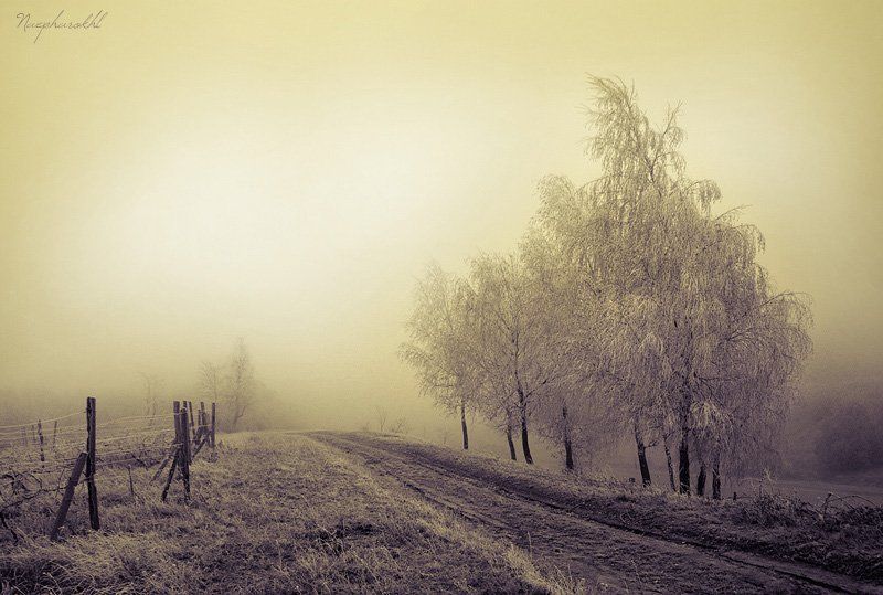иней, осень, холод, спокойствие, спокойно, расстояние, туман, бесконечность Расстояния нетphoto preview