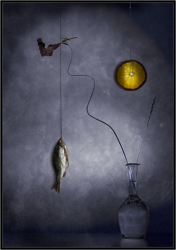 Особенности сожительствования флоры и фауны некоторых водоёмовphoto preview