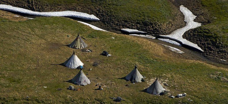 жизнь на краю земли, ненцы,север, стойбище, путешествия стойбищеphoto preview