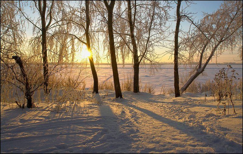 Зима в паркеphoto preview
