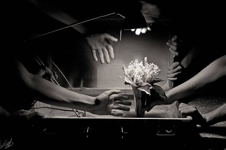 Немного о ручной работе при постановке натюрмортов.... Автор: Семенов Арсений wwwest, Семенов Арсений