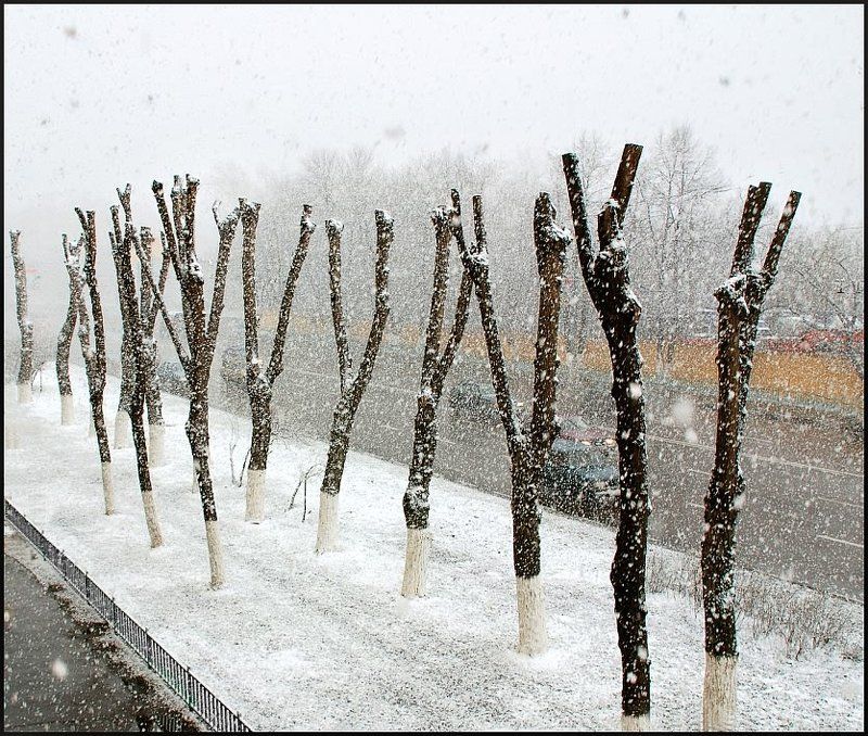 улица, люблинская, апрель, весна Апрель 2007 года.photo preview