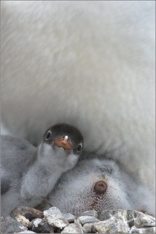 Про жизненную позициюphoto preview