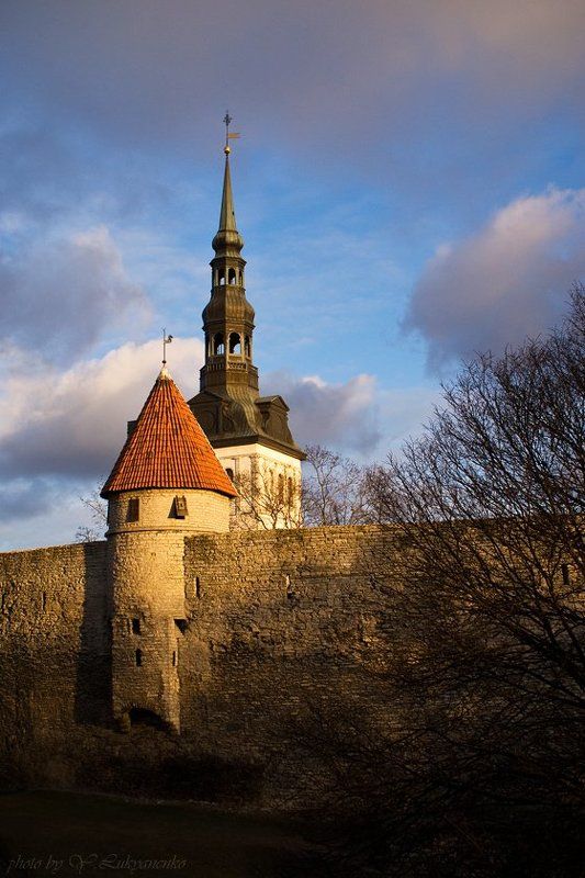 таллинн, томас, город, лукьяненко Рассказы старого Томасаphoto preview