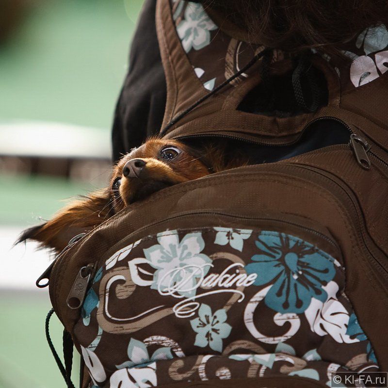 Мне невидно!!!photo preview