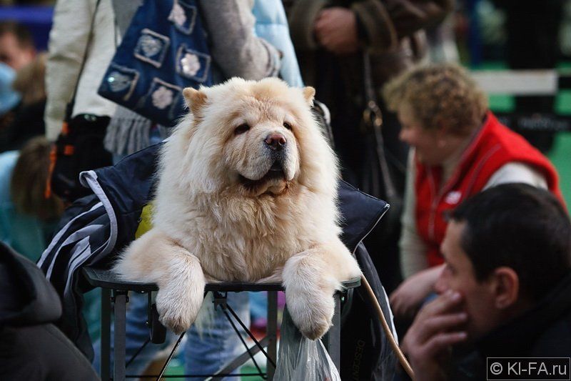 В ожиданииphoto preview