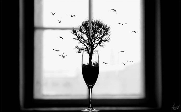 wwwest, Семенов Арсений