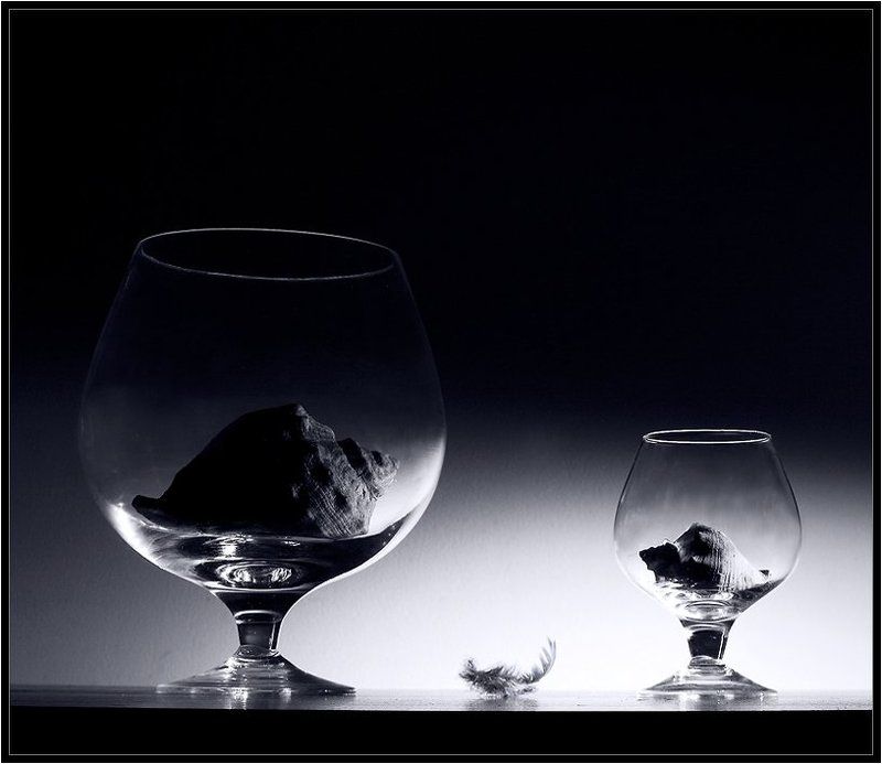 бокалы,ракушки,раковины photo preview