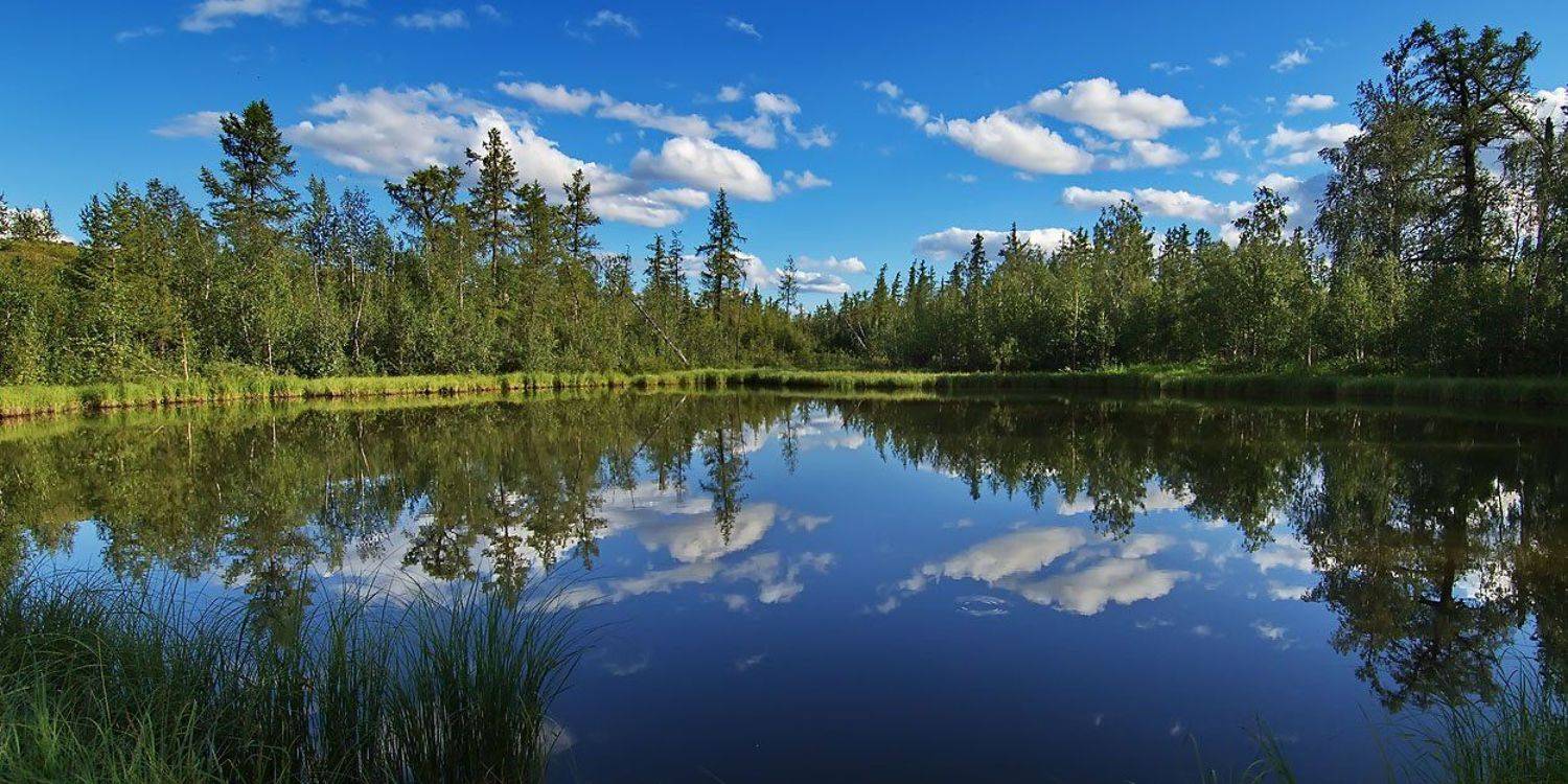 север, природа, лето, озеро, Danil Husainov