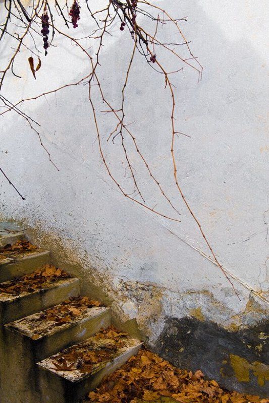 кипр,осень,ступеньки По ступенькам осень шла...photo preview