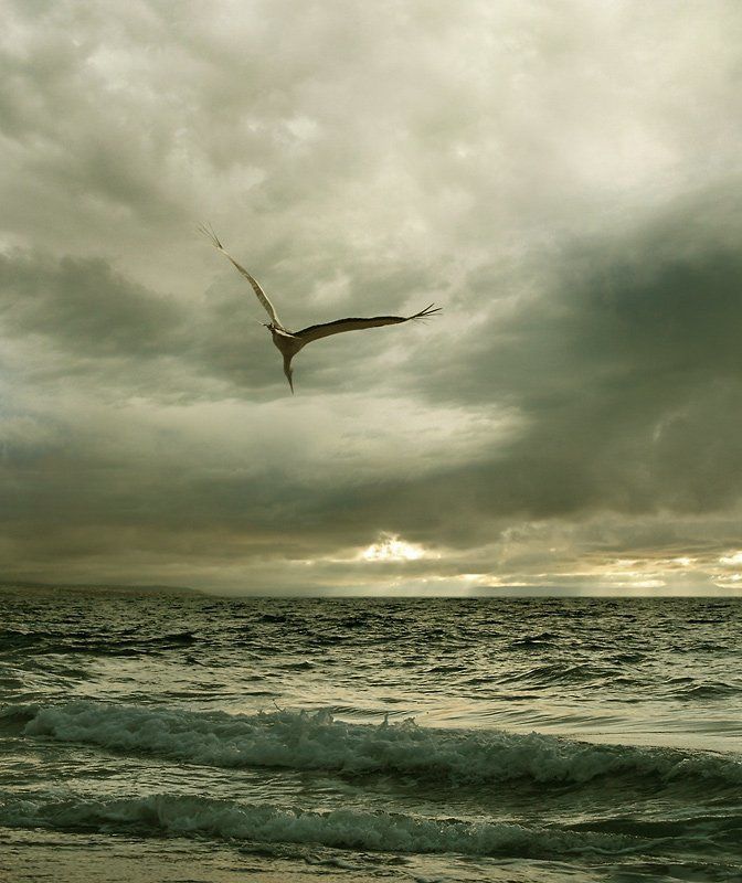 landscape, ikaros Ikarosphoto preview