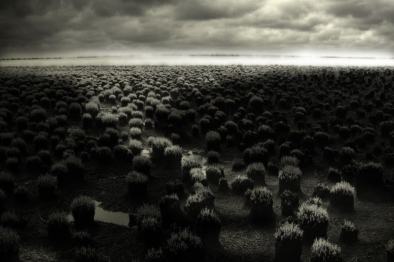 сентиментальная прогулкаphoto preview