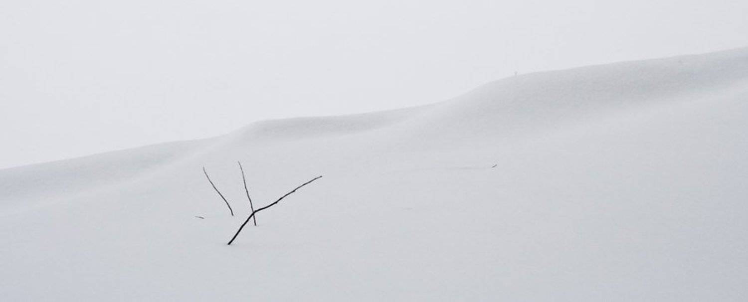 зима, снег, ветки, иероглиф, Gorshkov Igor_Feanorus