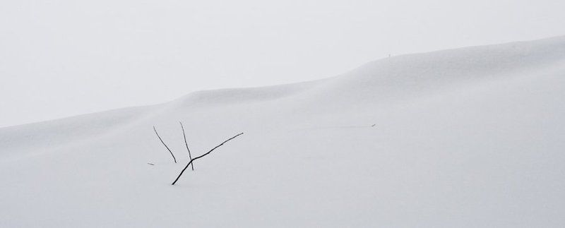 зима, снег, ветки, иероглиф иероглифphoto preview