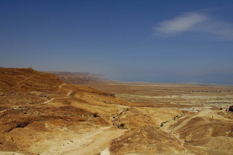 Краски пустыниphoto preview