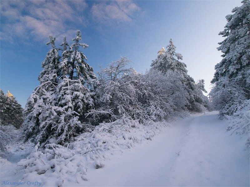 крым, зима, снег, сосны, закат, иней Крымская сказкаphoto preview