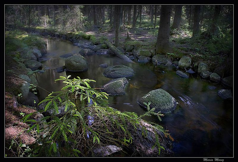 Мое летоphoto preview