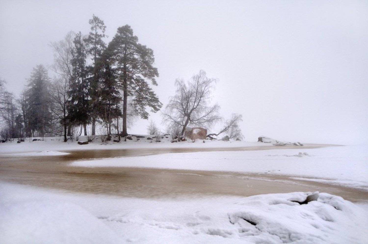 заповедник монрепо,выборг,туман,снег,природа,, Евгений Пугачев.