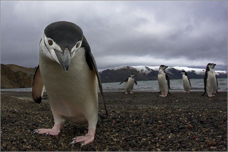 Личное знакомствоphoto preview