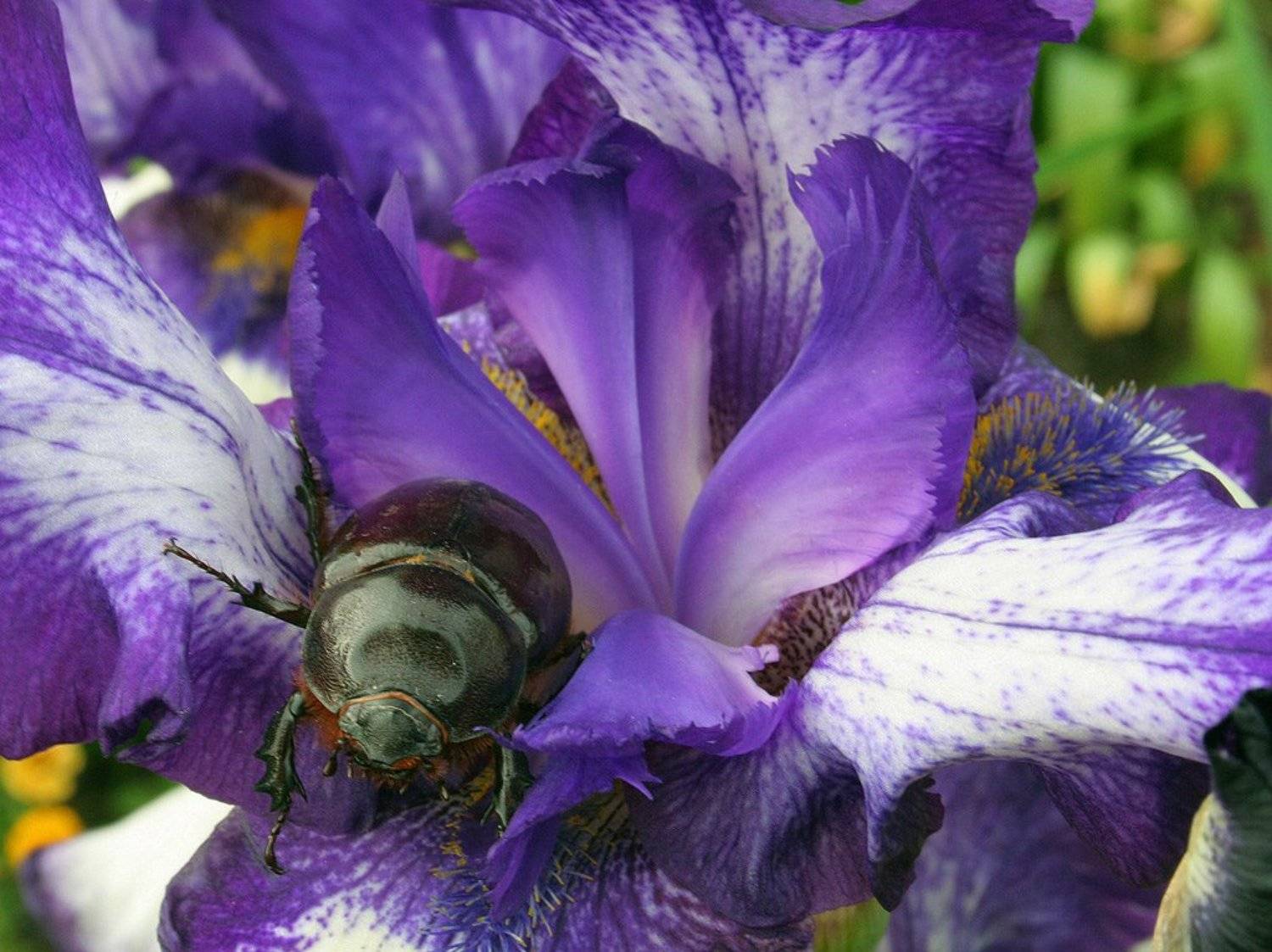 , Клековкин Александр