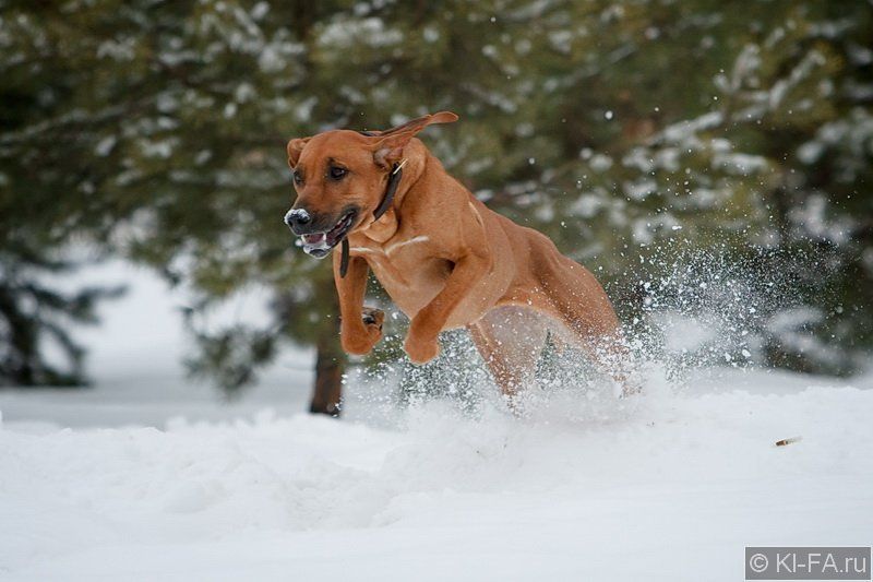 Ракетаphoto preview