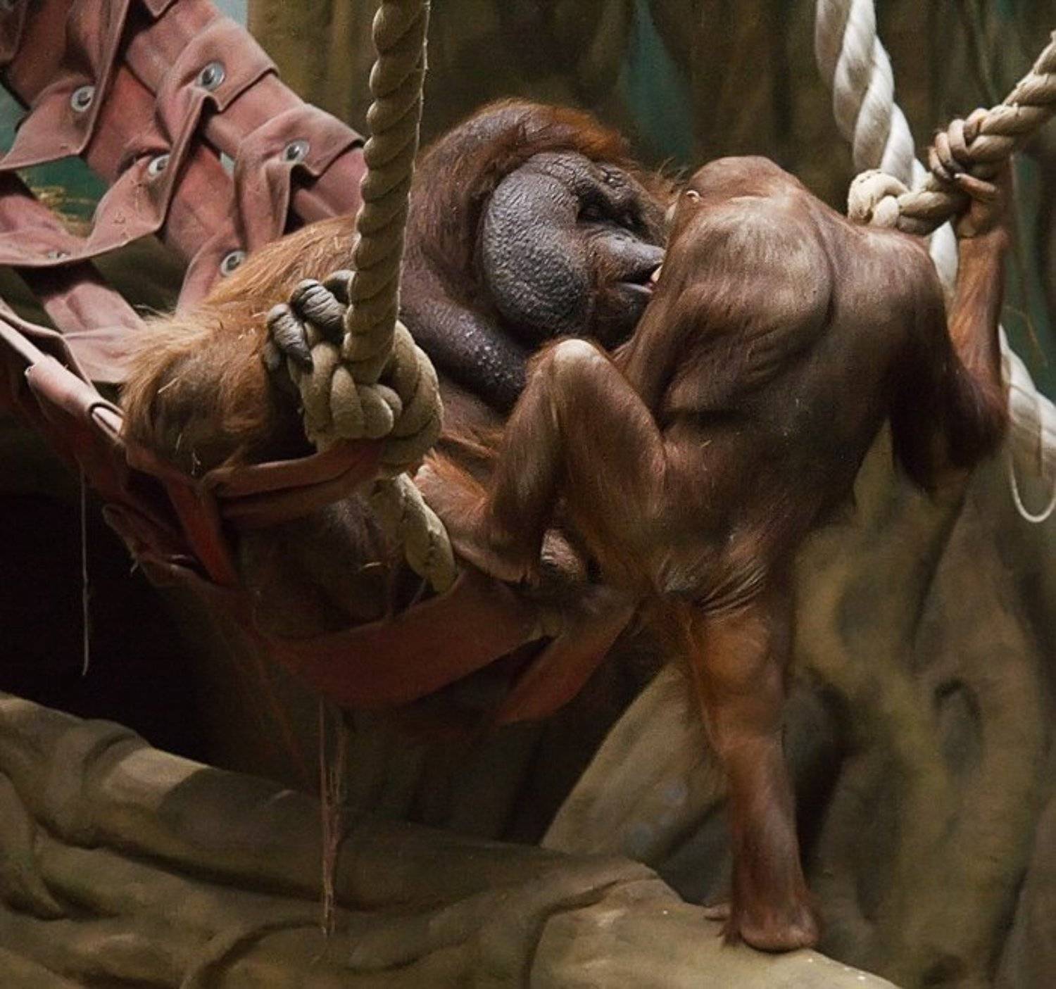 L'amour. Автор: smie поцелуй, smie