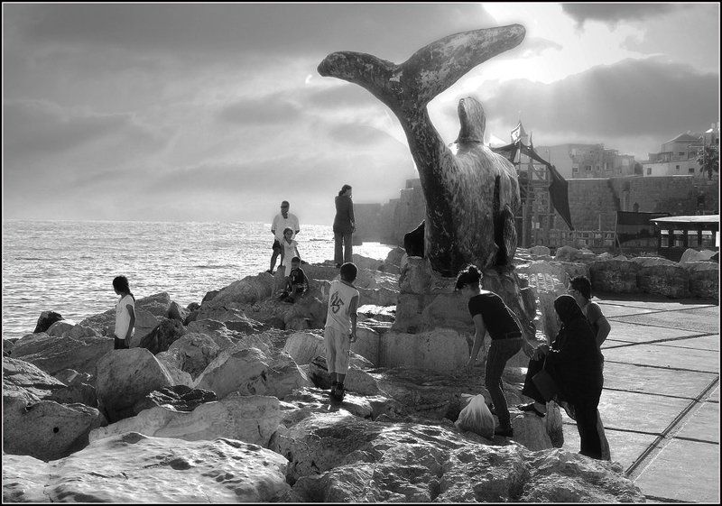 кит, люди, акко, море, закат, тучи, небо, крепость, израиль Кит живородящий.photo preview