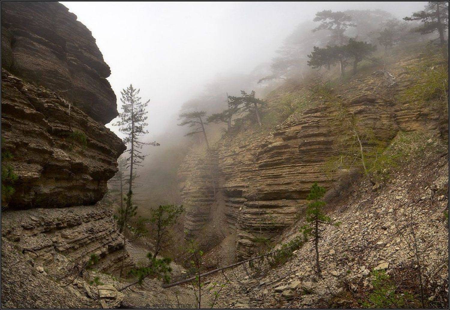 крым, таракташ, пейзаж, туман, весна, Андрей Житков