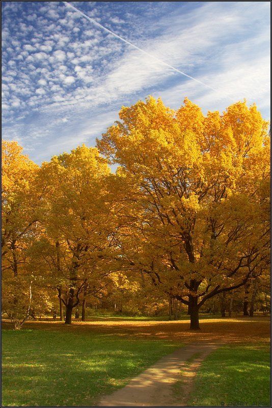 москва, осень, октябрь, пейзаж Позитивная осень.. фото превью