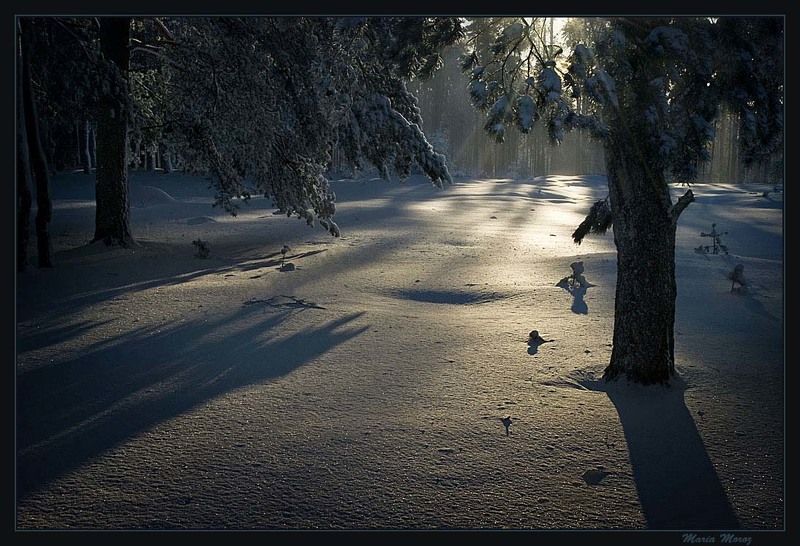 Где живут солнечные зайцыphoto preview