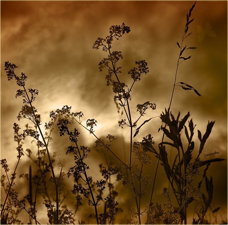 Танец уходящему солнцуphoto preview