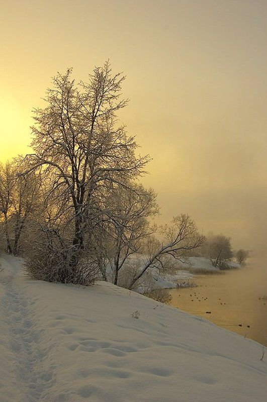 День обещал быть чудеснымphoto preview