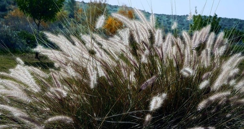 Щекоткаphoto preview