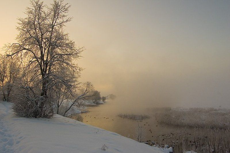 Морозным февральским утромphoto preview
