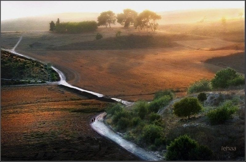 Прогулки в сумерках.photo preview