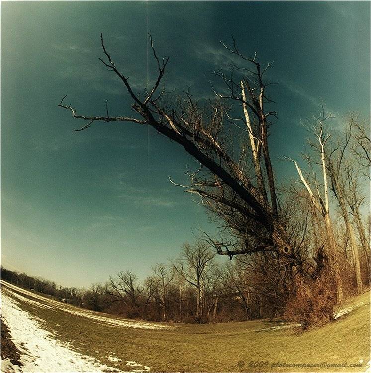 Farewell. Автор: Pilgrim пейзаж, pilgrim, пленка, средний формат, 6х6, киев-60, зодиак-8, kiev-60, zodiak-8, Pilgrim