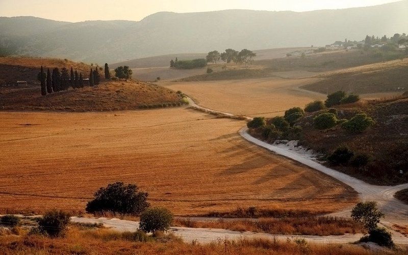 Тивонphoto preview