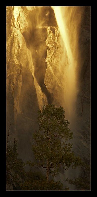 Золотая вуальphoto preview