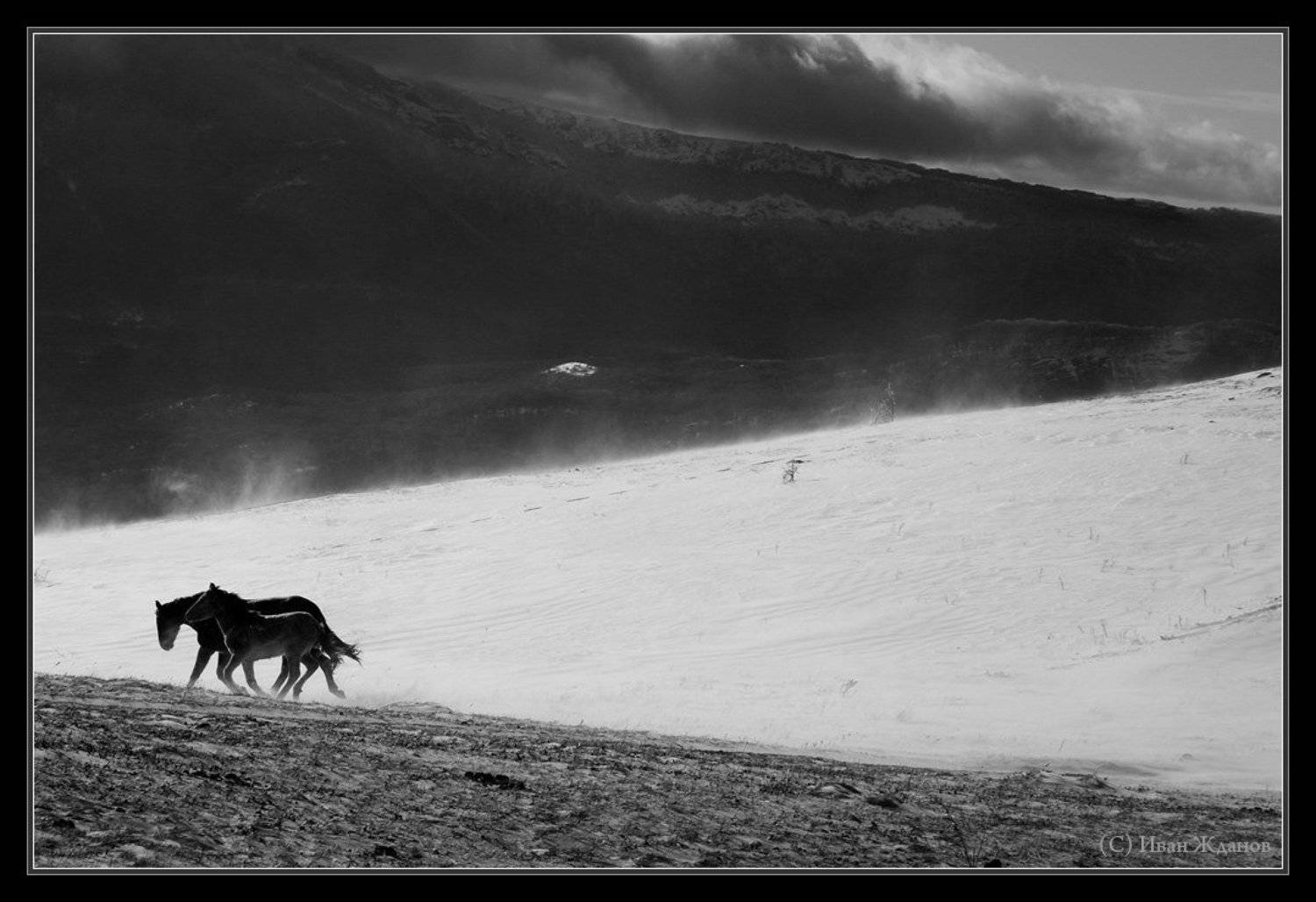 горы, крым, демерджи, зима, вольные кони, Иван Жданов