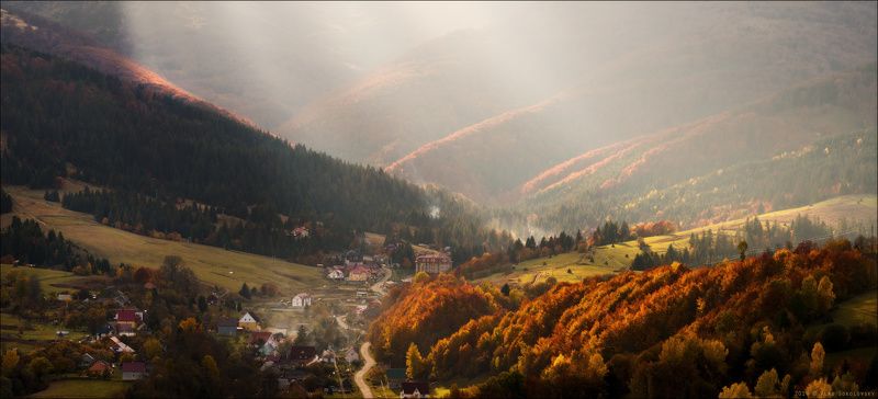 / Поймав последние лучи ...... /, v.IIphoto preview