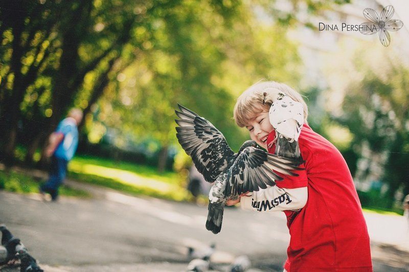 Голубиphoto preview