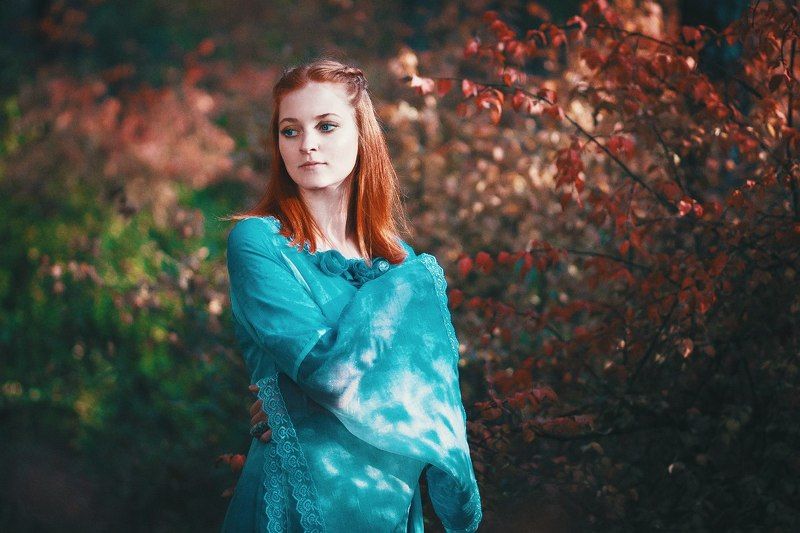 Sansa Starkphoto preview