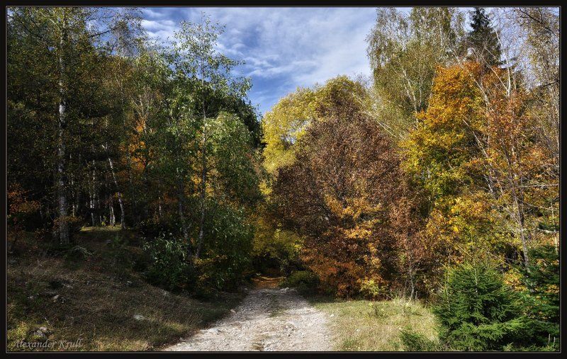 кавказ, кчр, осень Уходя в осенние тайны...photo preview