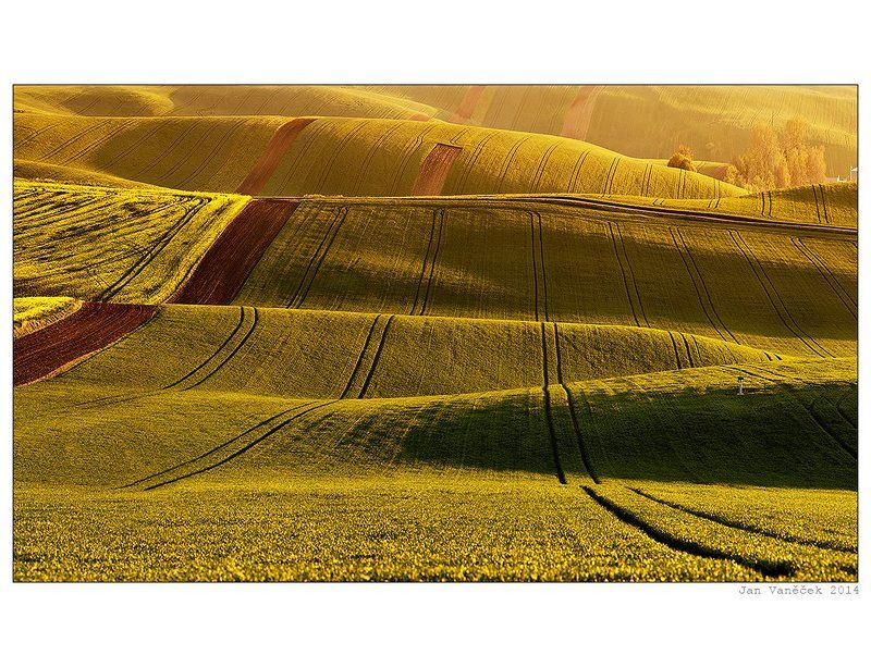 Moravian fieldsphoto preview