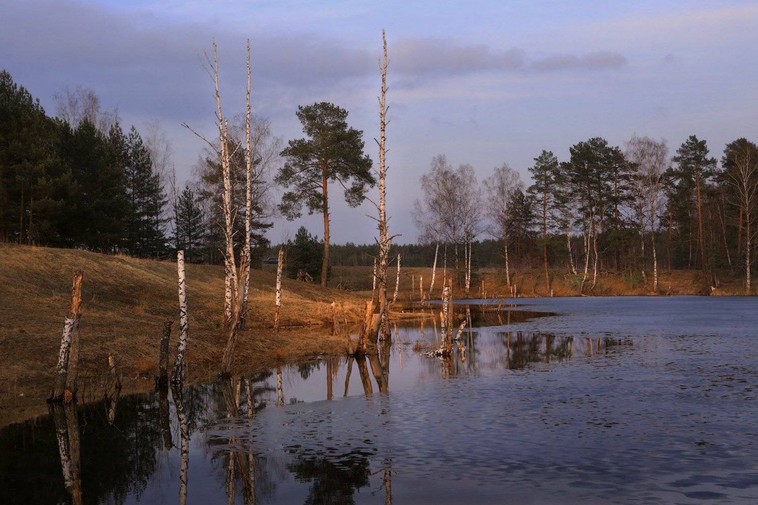 О грустном вечере ранней весной. Автор: Дмитрий Алексеев Пейзаж, Дмитрий Алексеев